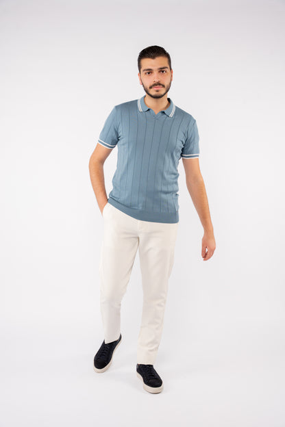 VNECK BLUE POLO