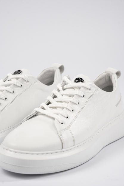 BIG SIZE WHITE SNEAKER