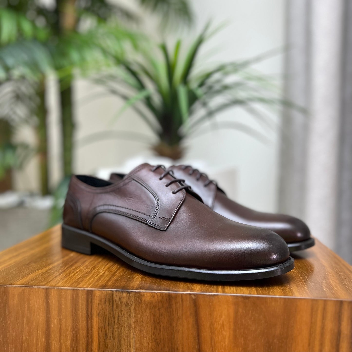 BROWN DERBY SHOE