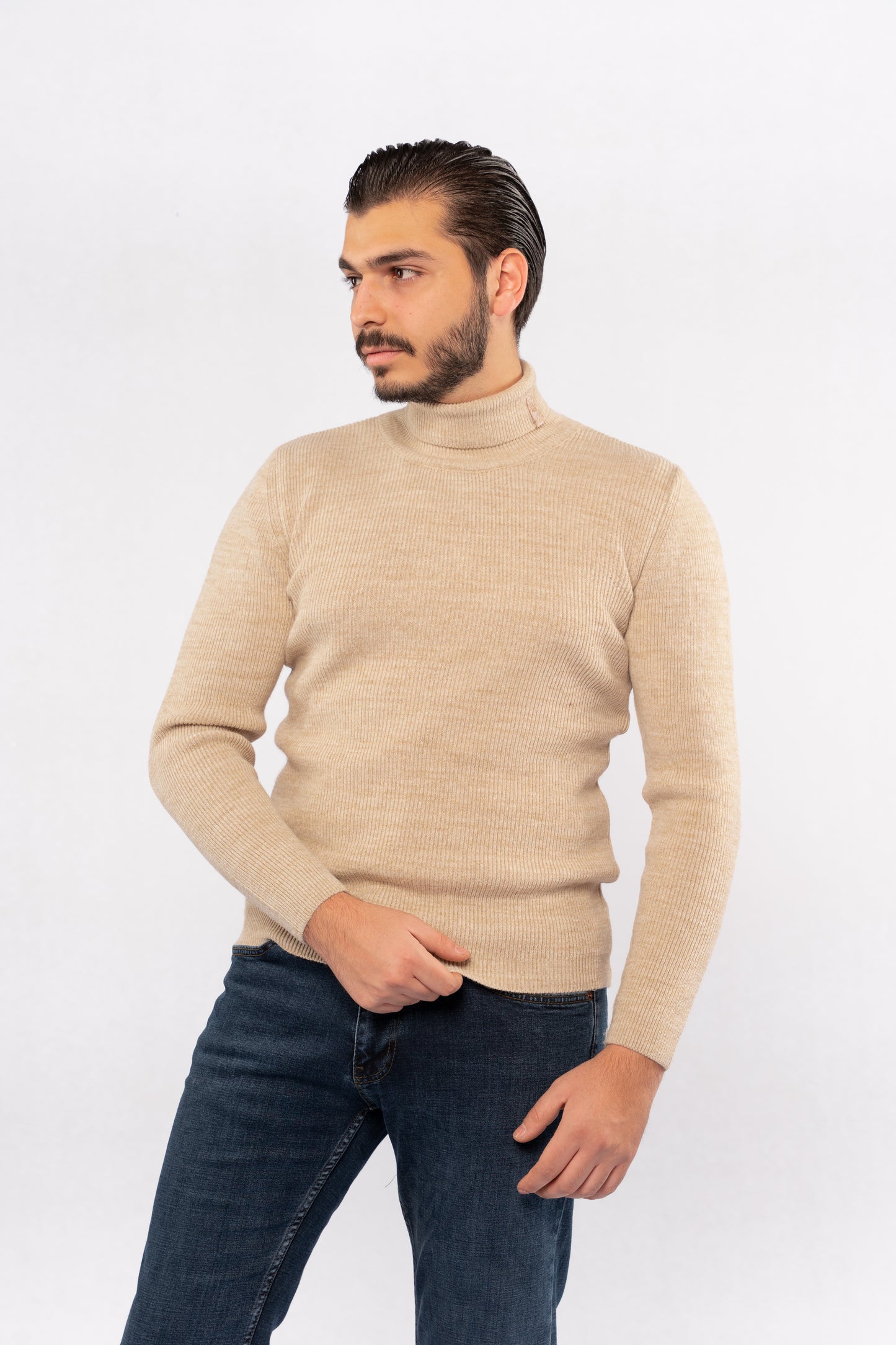 BEIGE LINED TURTLENECK
