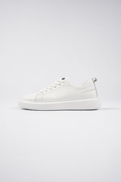 BIG SIZE WHITE SNEAKER